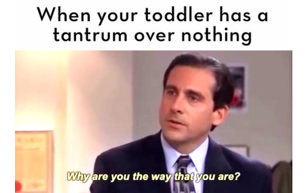 Hilarious Memes for Those Who Have Kids