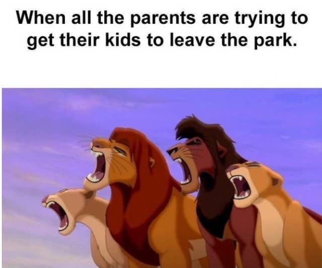Funny Family Memes That Will Leave You in a Better Mood