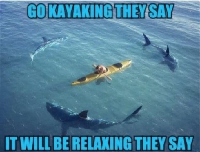 Funny Memes for Your Summertime Relaxation