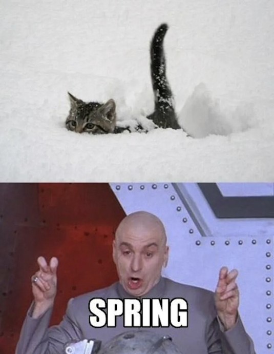 Spring Memes for Anyone Who's Sick and Tired of the Cold Weather