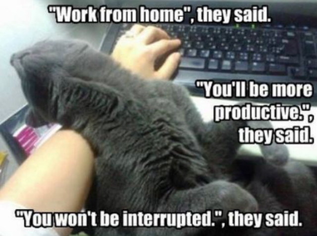 Funny Working From Home Memes