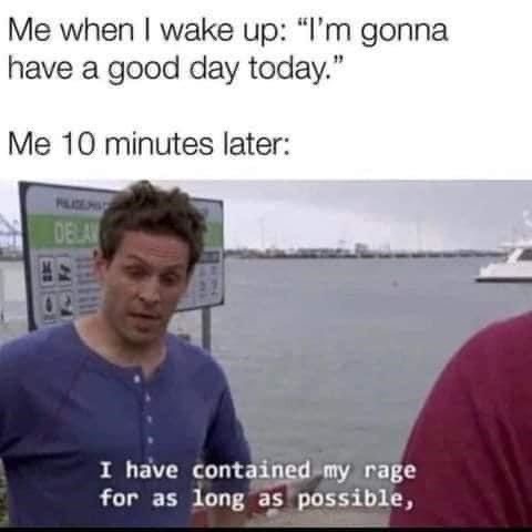 Memes That are Worth Their Weight in Gold