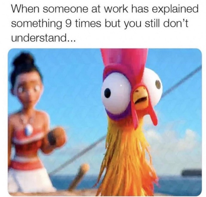 The Best Hilarious Memes to Have Some Fun Today