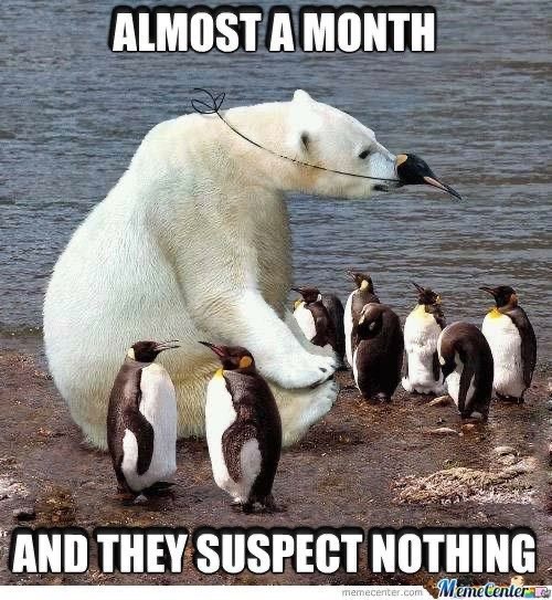 The Funniest Bear Pics to Make You Laugh a Bit