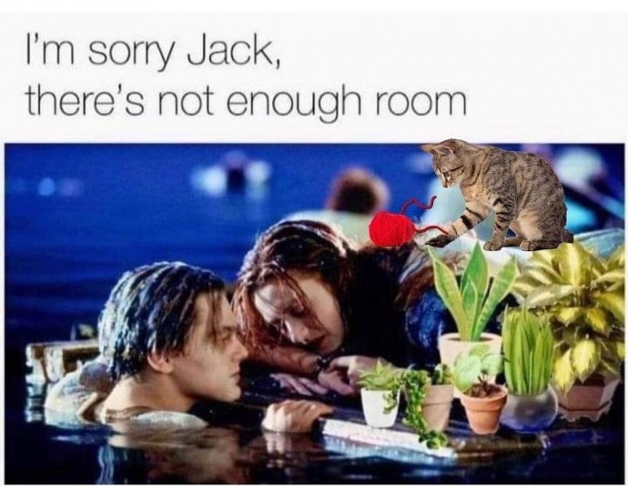 Extra Funny Memes for a Great Thursday