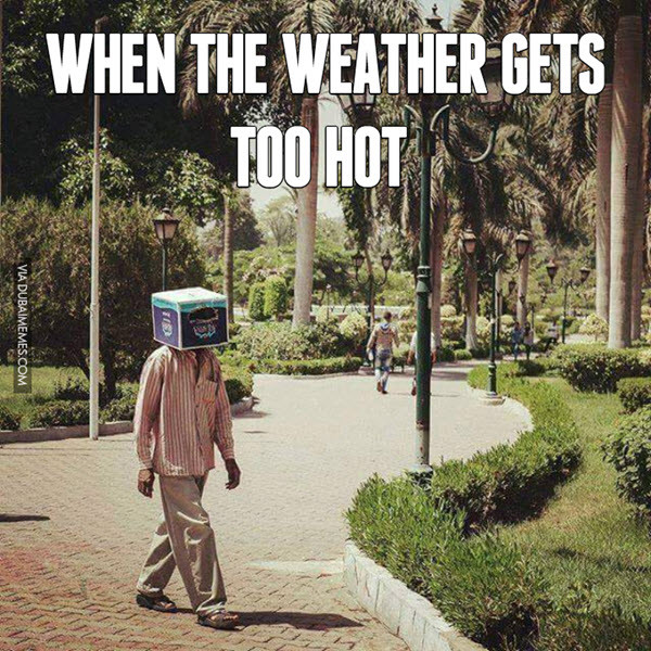 Have a Look at These Memes When It's Hot Outside