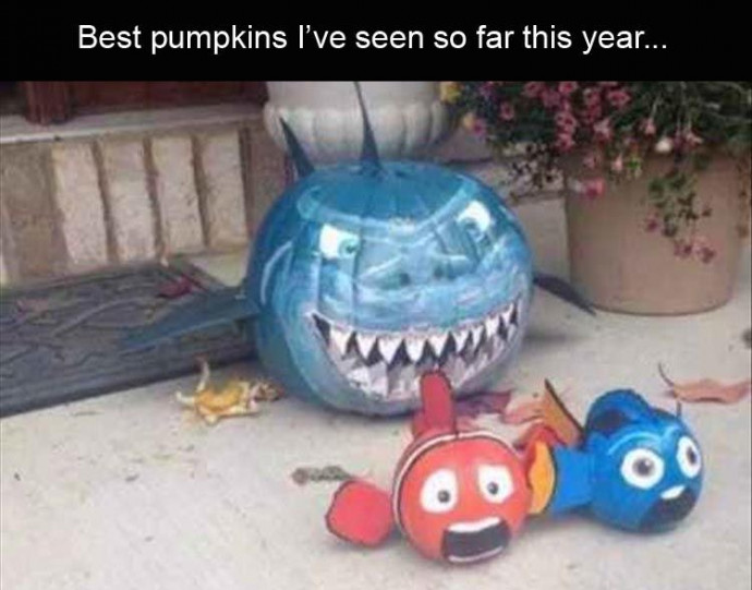 Funny Pumpkin Memes Special for You