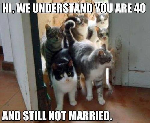 Amusing pictures about marriage