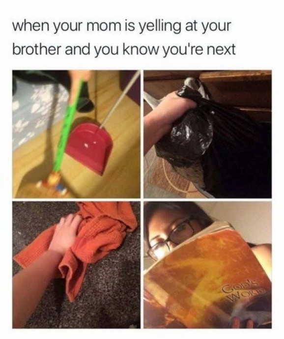 A Dump of the Best Sibling Memes Ever