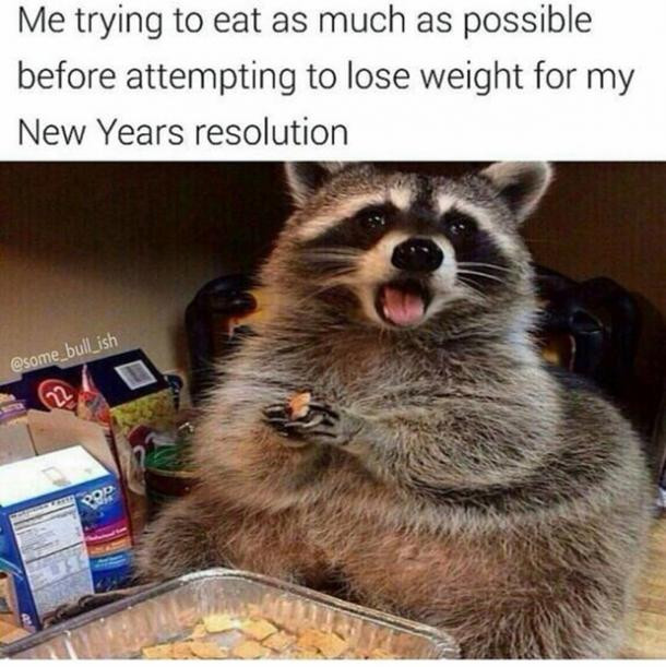 Funny New Year’s Resolutions Pictures