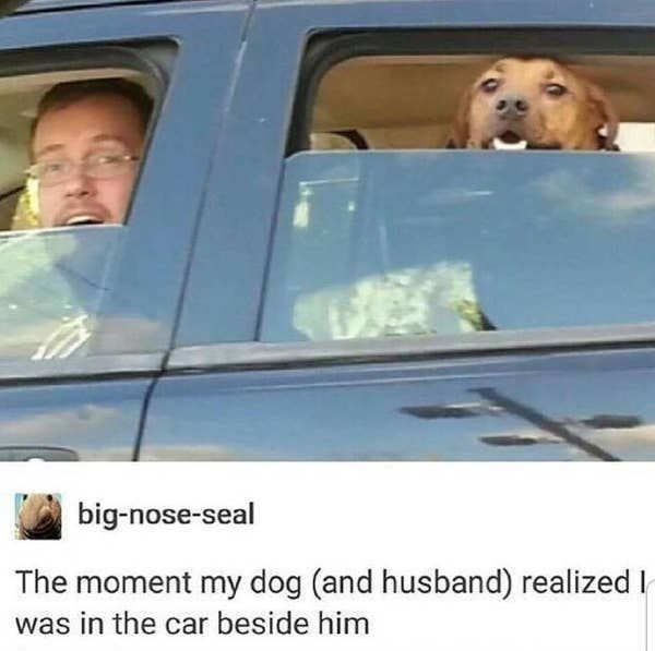 Extremely good, funny and wholesome pics