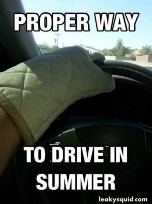 Funny Pics to Get You Into Summer Spirit