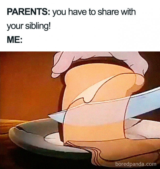 A Dump of the Best Sibling Memes Ever