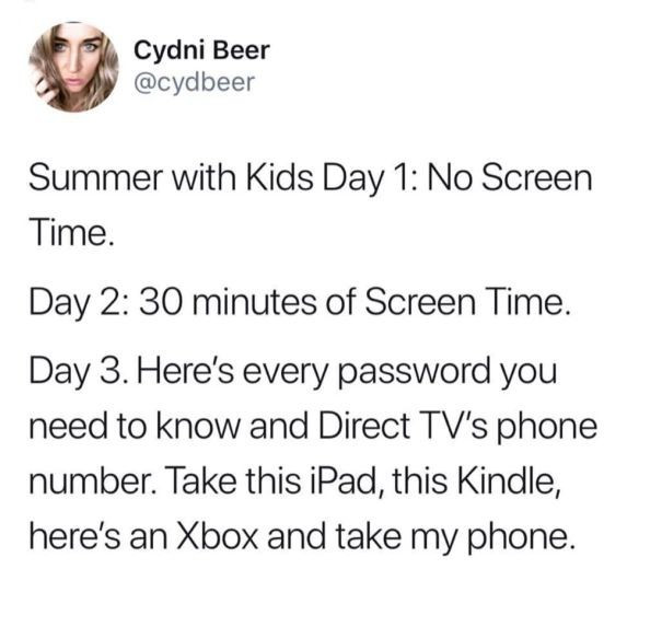 Funny Memes About Parenting at Summer