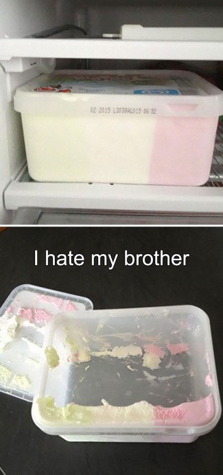 A Dump of the Best Sibling Memes Ever