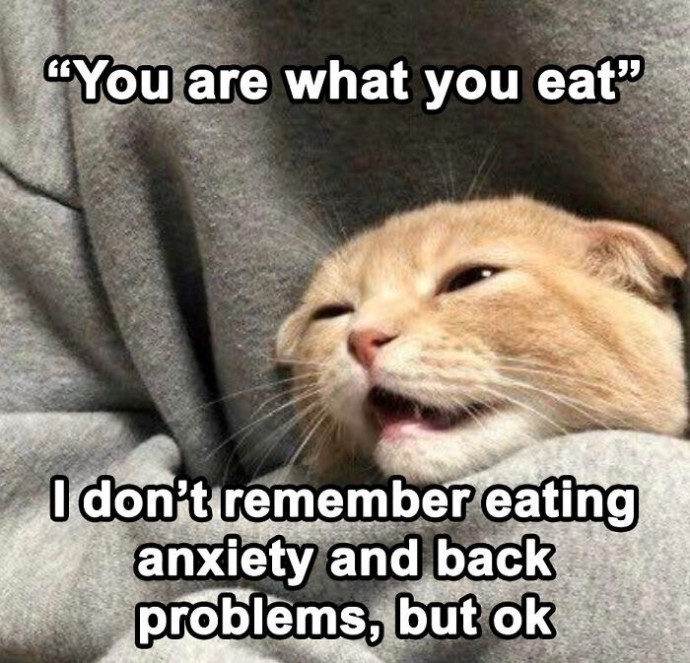 Meowtastic Posts to Bring You a Dose of Feline Goodness