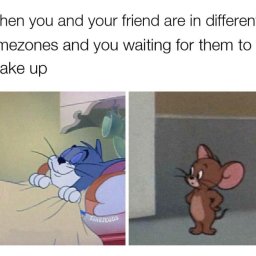 Funny Tom and Jerry Memes for Your Weekend