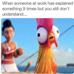 The Best Hilarious Memes to Have Some Fun Today