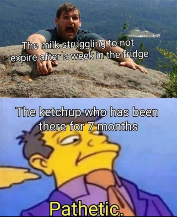 Funny Memes of the Day