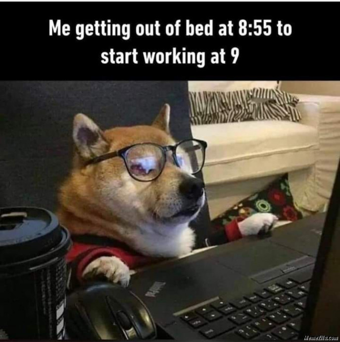 Funny Working From Home Memes