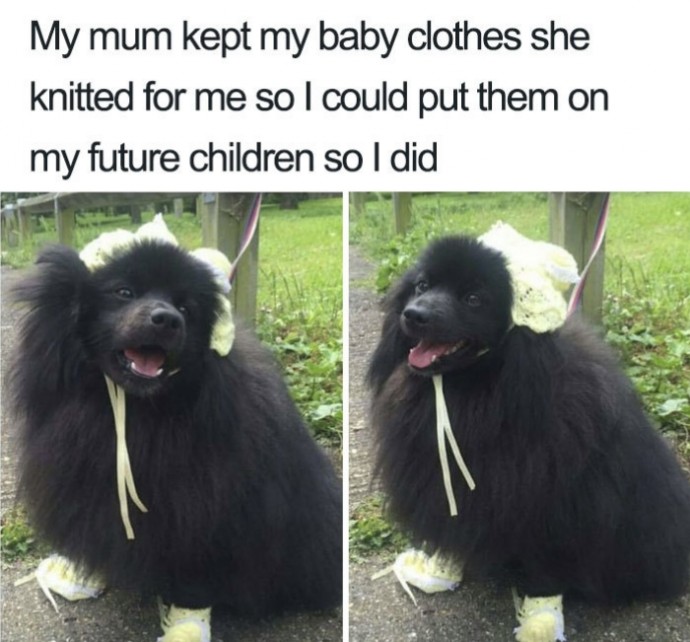Funny pics from people who prefer pets over kids. Just for fun