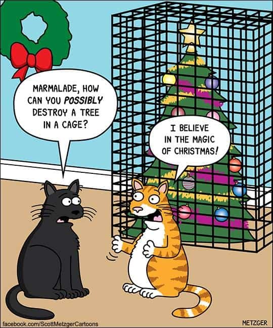 These Holiday Cat Memes Will Get You in the Christmas Spirit