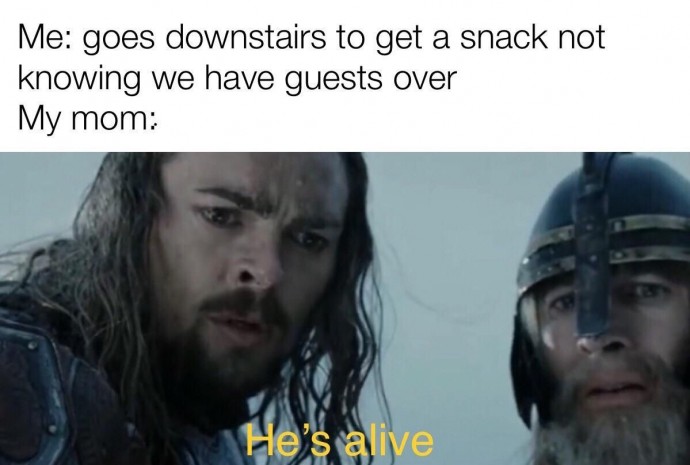 Some Precious Lord of the Rings Memes