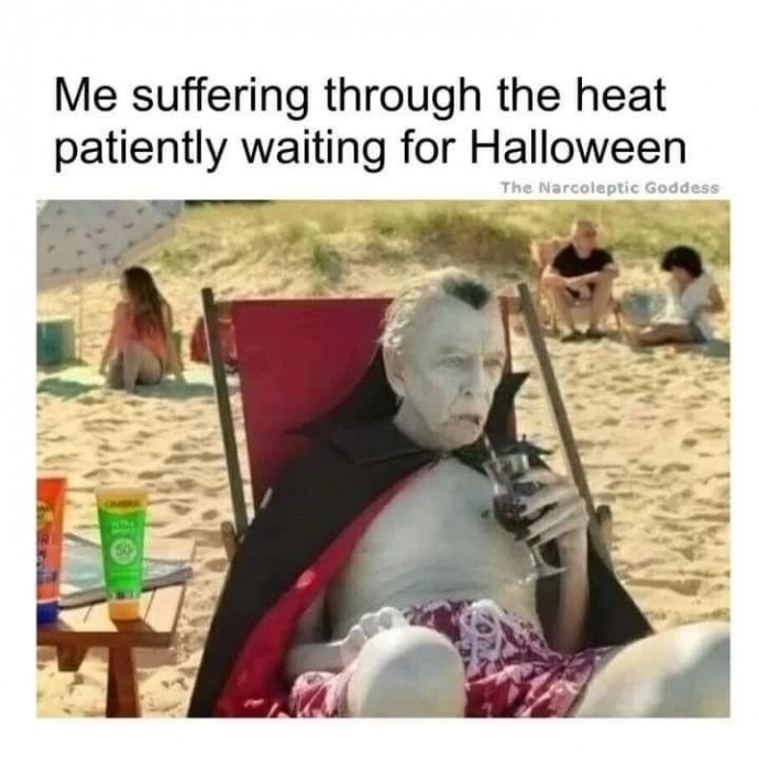 Funny Memes for Everyone Waiting for the Halloween Season