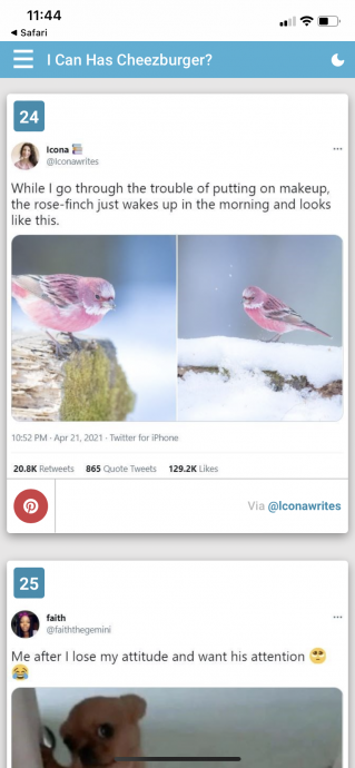 Animal Tweets Filled With Laughter and Wholesomeness