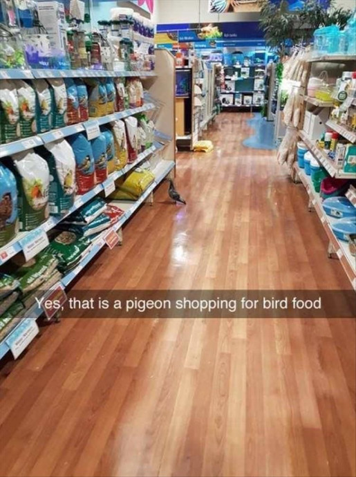 Funny Snapchats to Begin Your Weekend With