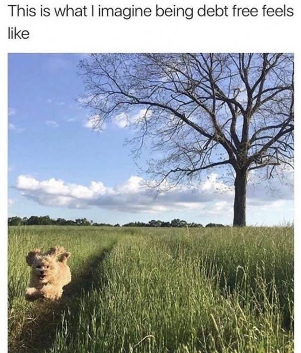 Incredible Animal Pics to Have Some Good Time Incredible Animal Pics to Have Some Good Time