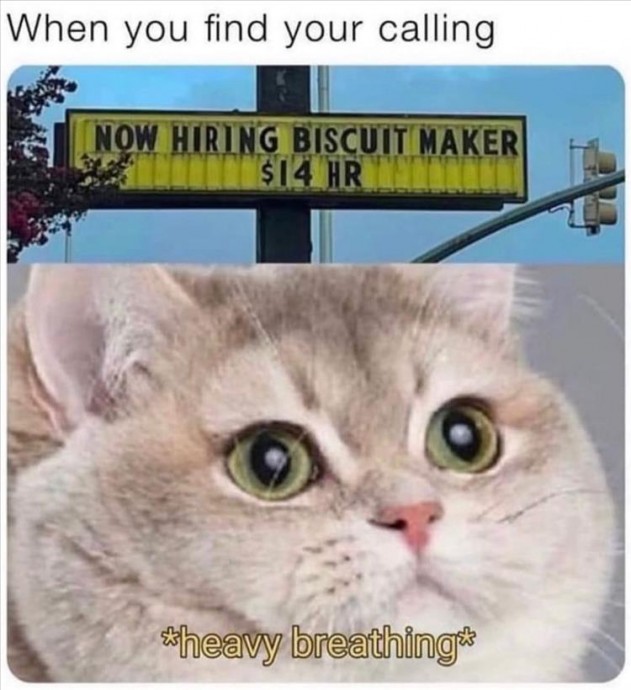 Funny Morning Memes for You Funny Morning Memes for You