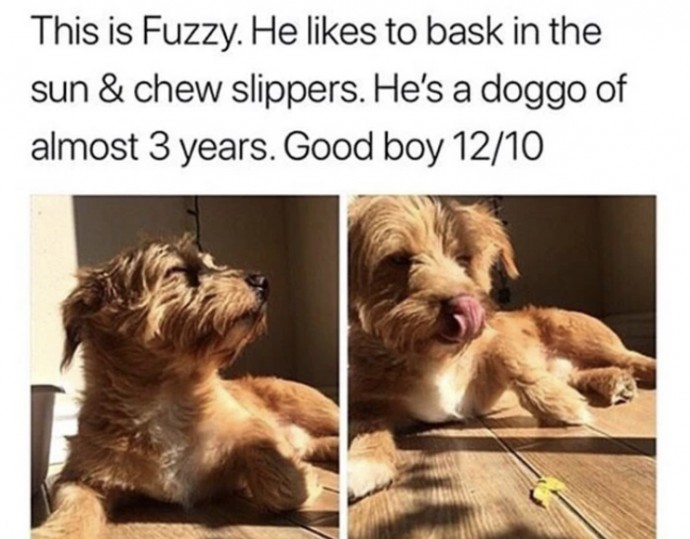 Incredible Animal Pics to Have Some Good Time Incredible Animal Pics to Have Some Good Time