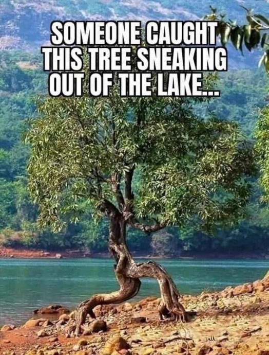 Funny Morning Meme Selection to Cheer You Up