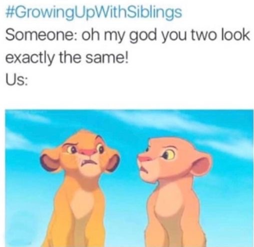 Relatable Living With Siblings Memes
