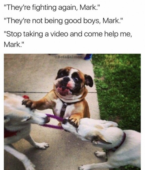 Incredible Animal Pics to Have Some Good Time Incredible Animal Pics to Have Some Good Time