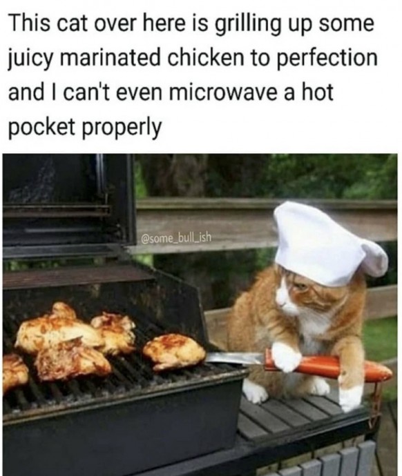 Incredible Animal Pics to Have Some Good Time Incredible Animal Pics to Have Some Good Time