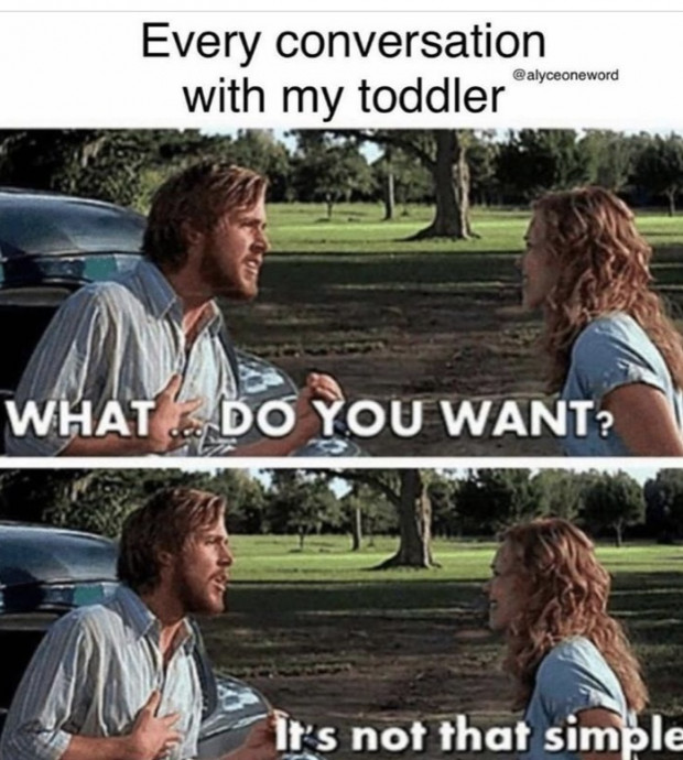 Funny Morning Meme Selection to Cheer You Up