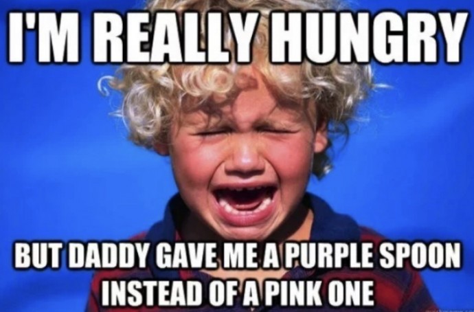 Funniest Memes to Understand What Parenting Mean