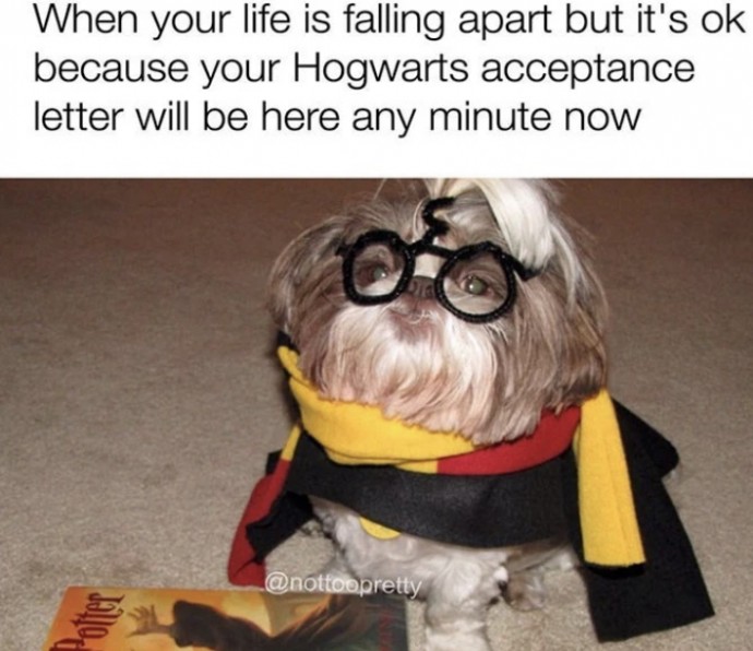 Incredible Animal Pics to Have Some Good Time Incredible Animal Pics to Have Some Good Time