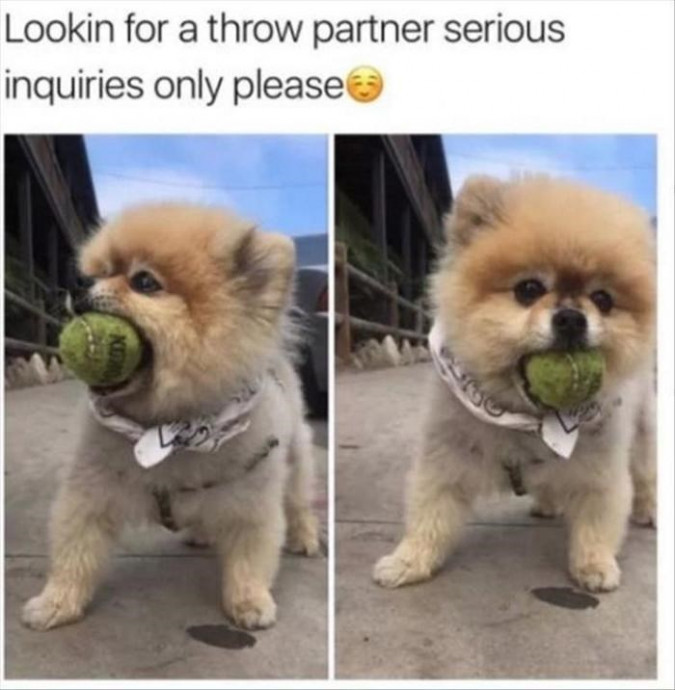 Funny Memes of the Day