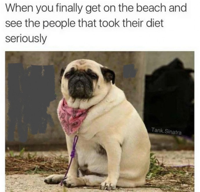 Incredible Animal Pics to Have Some Good Time Incredible Animal Pics to Have Some Good Time