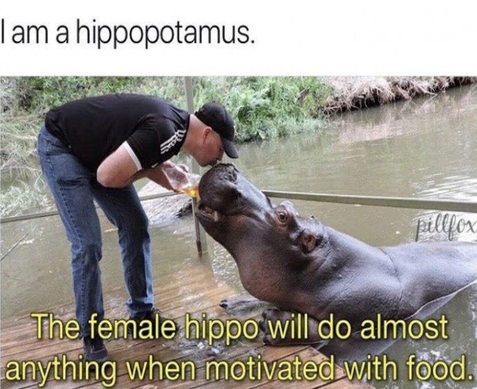 Incredible Animal Pics to Have Some Good Time Incredible Animal Pics to Have Some Good Time