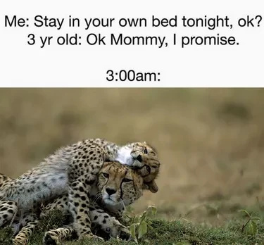 Funny Animals Who are Over Parenting