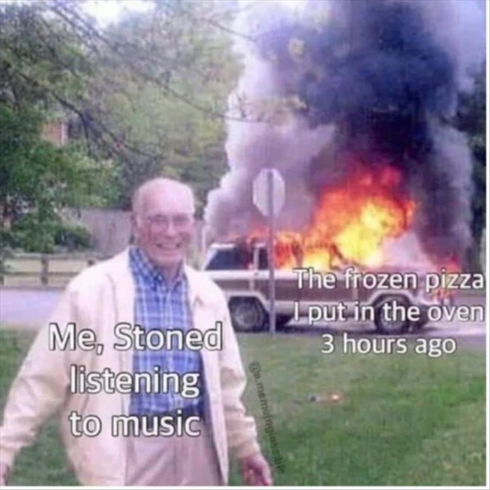 Afternoon Memes for Enjoyment