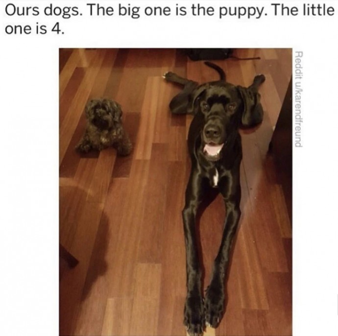 Incredible Animal Pics to Have Some Good Time Incredible Animal Pics to Have Some Good Time